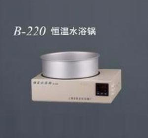 �Ϻ����s���ˮԡ�B-220